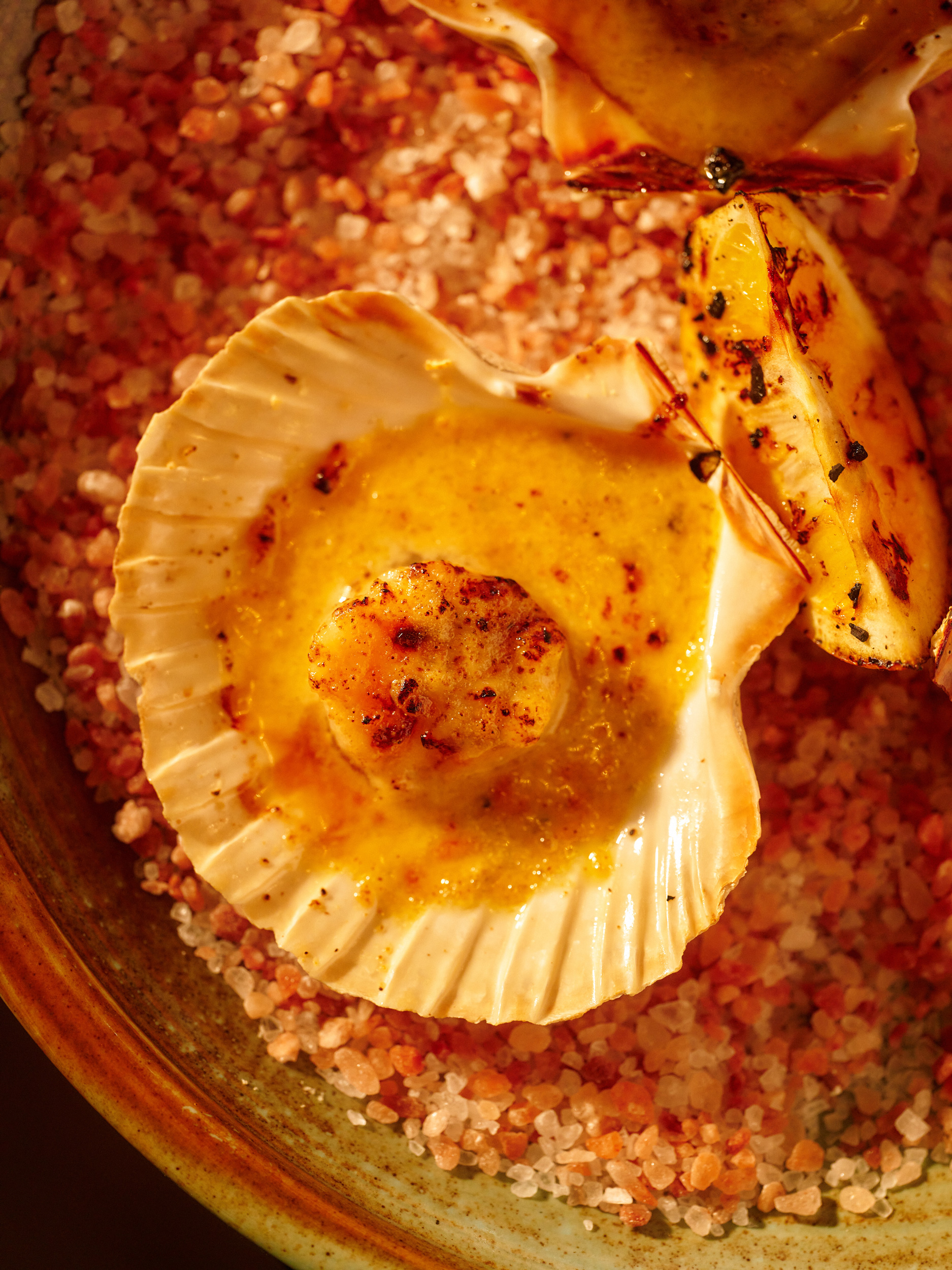 The Collective Force - Viaduct Harbour By the Fire