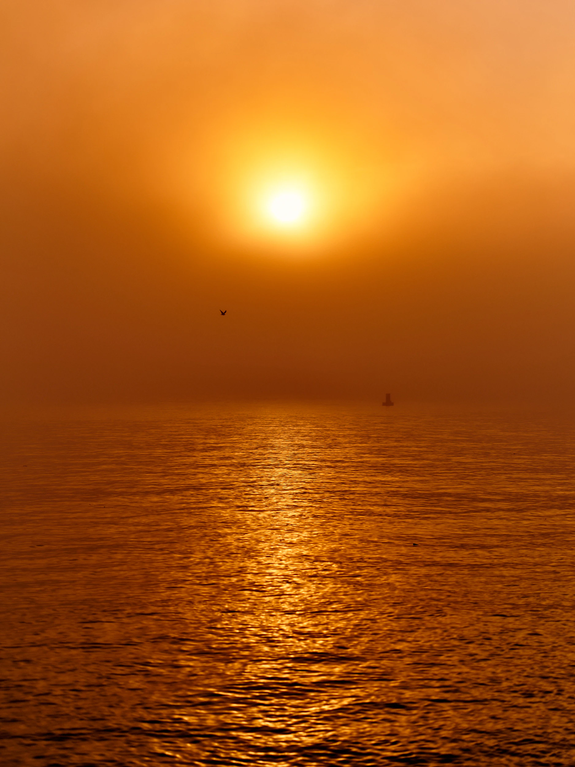 The Collective Force - Viaduct Harbour By the Fire