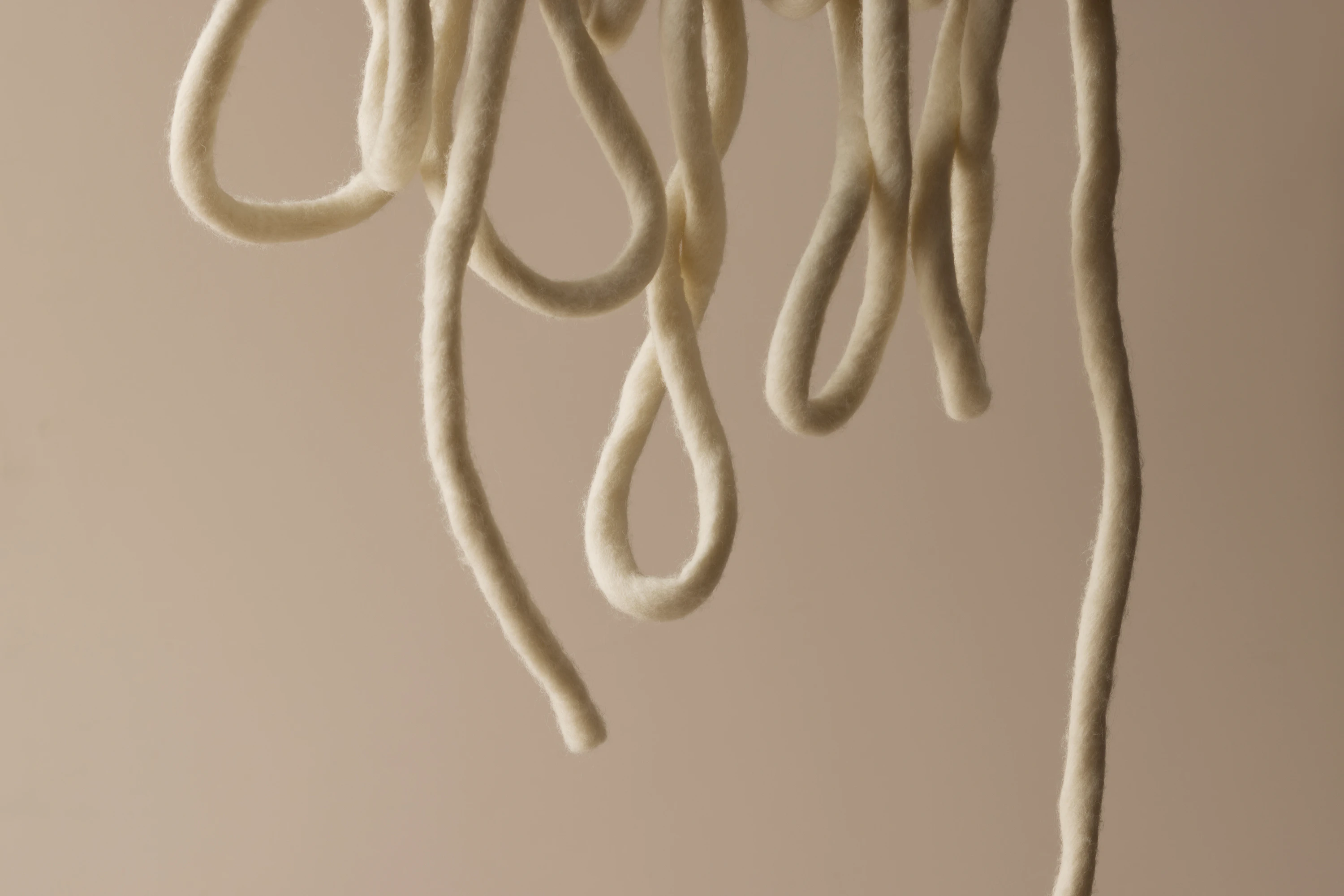 The Collective Force - Zenetra