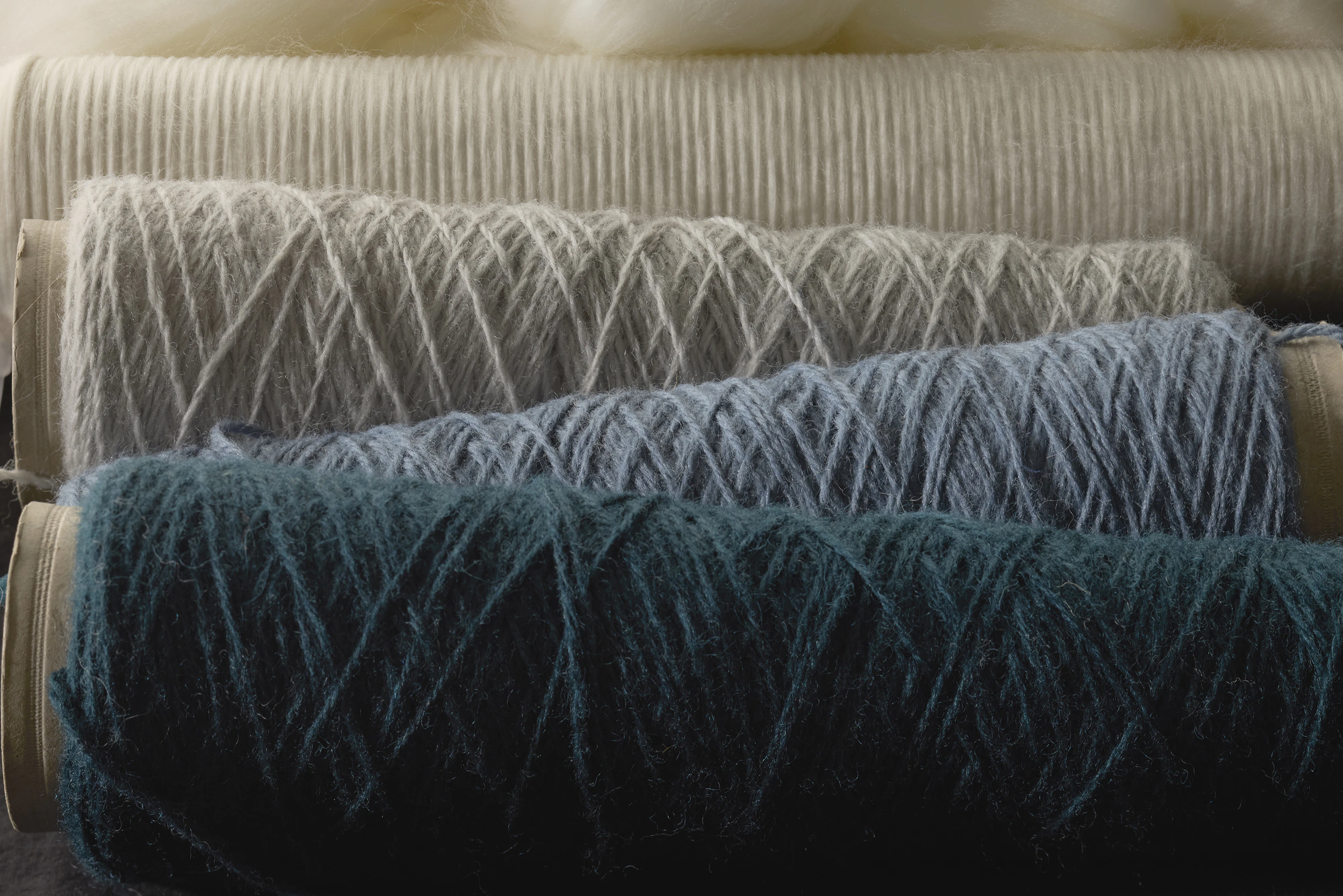 The Collective Force - Zenetra