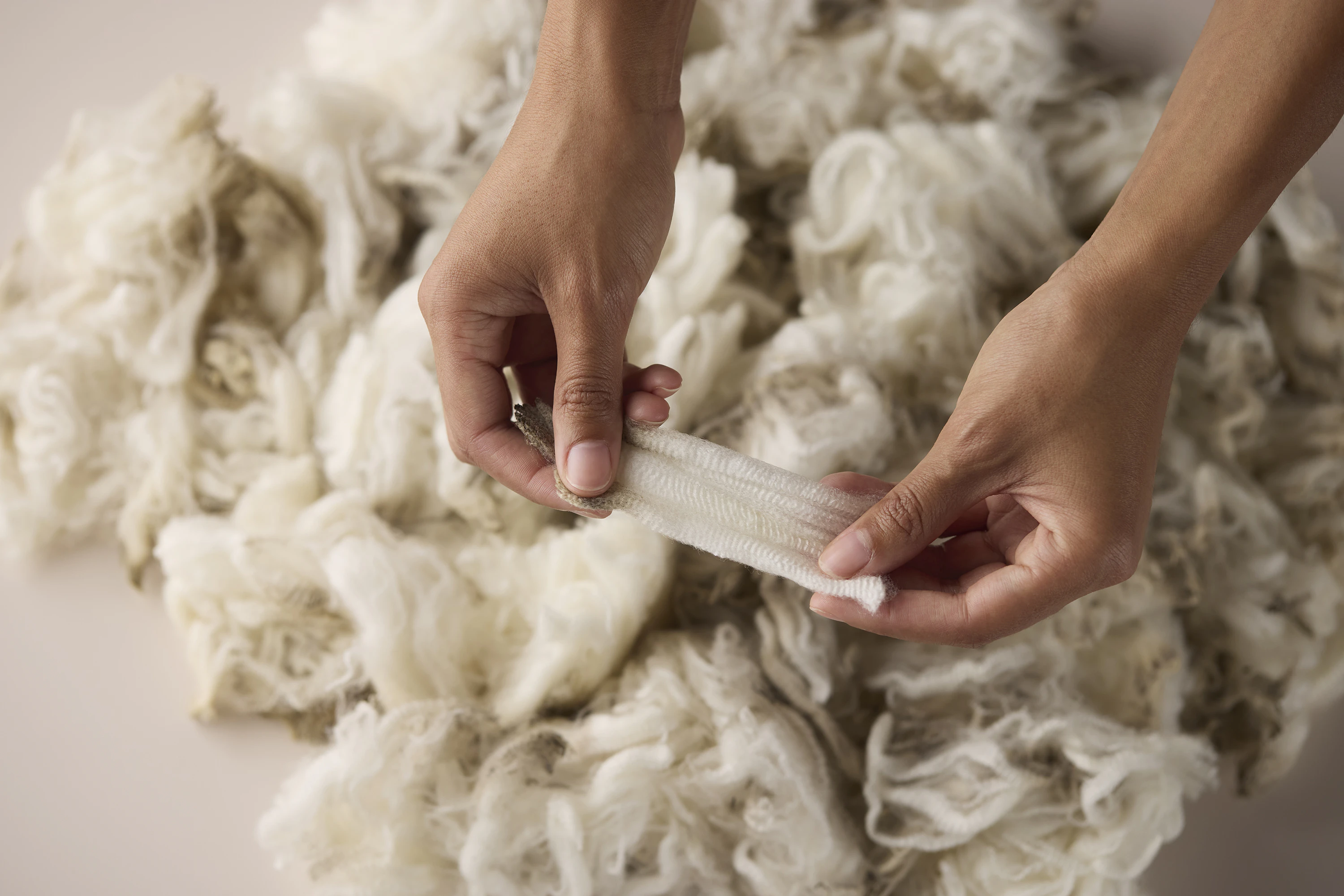 The Collective Force - Zenetra