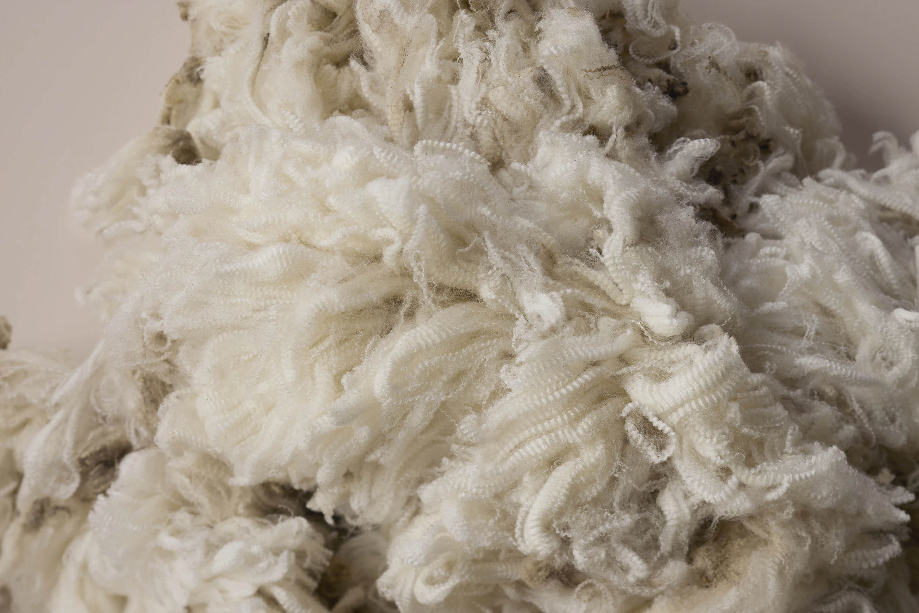 The Collective Force - Zenetra