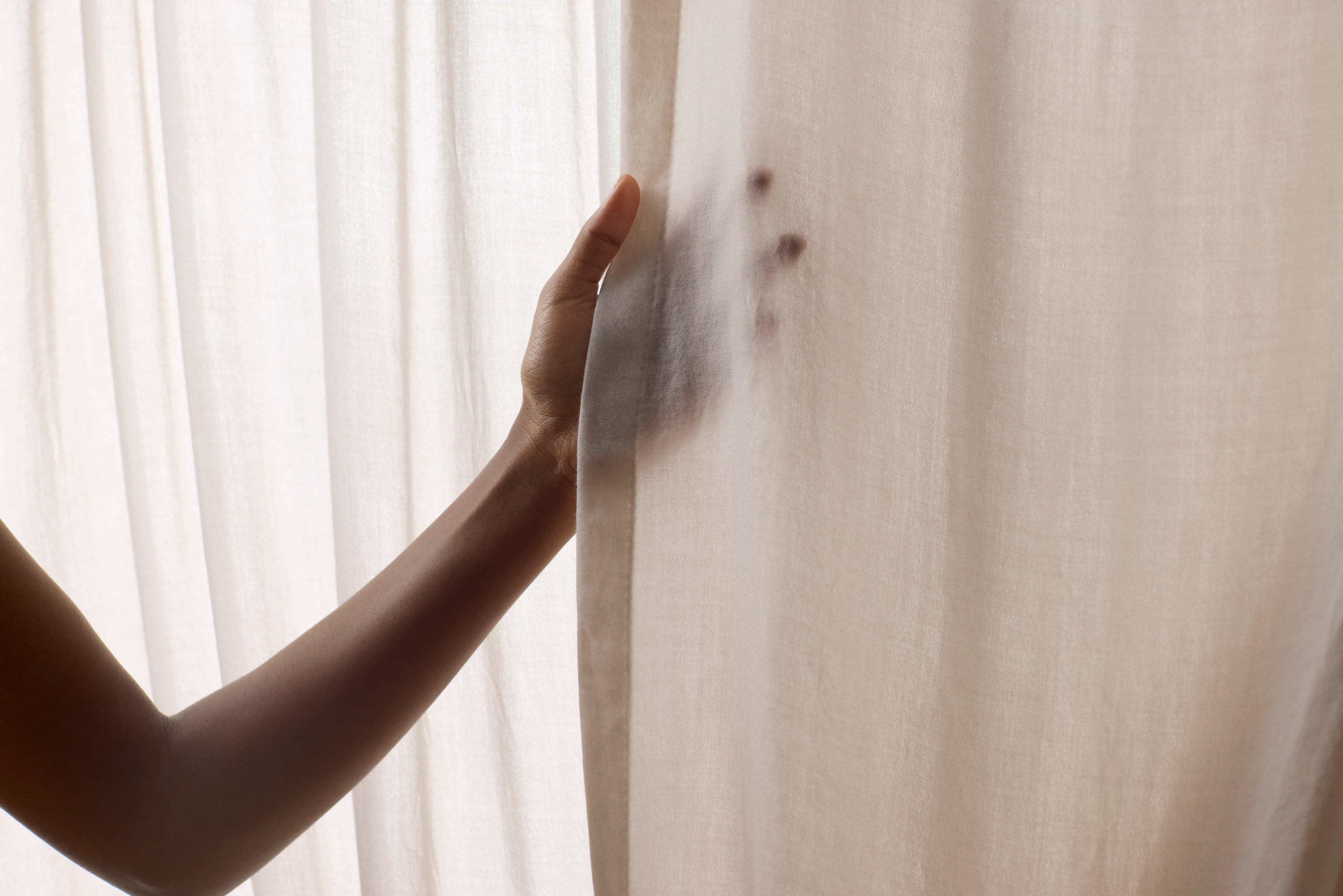 The Collective Force - Zenetra