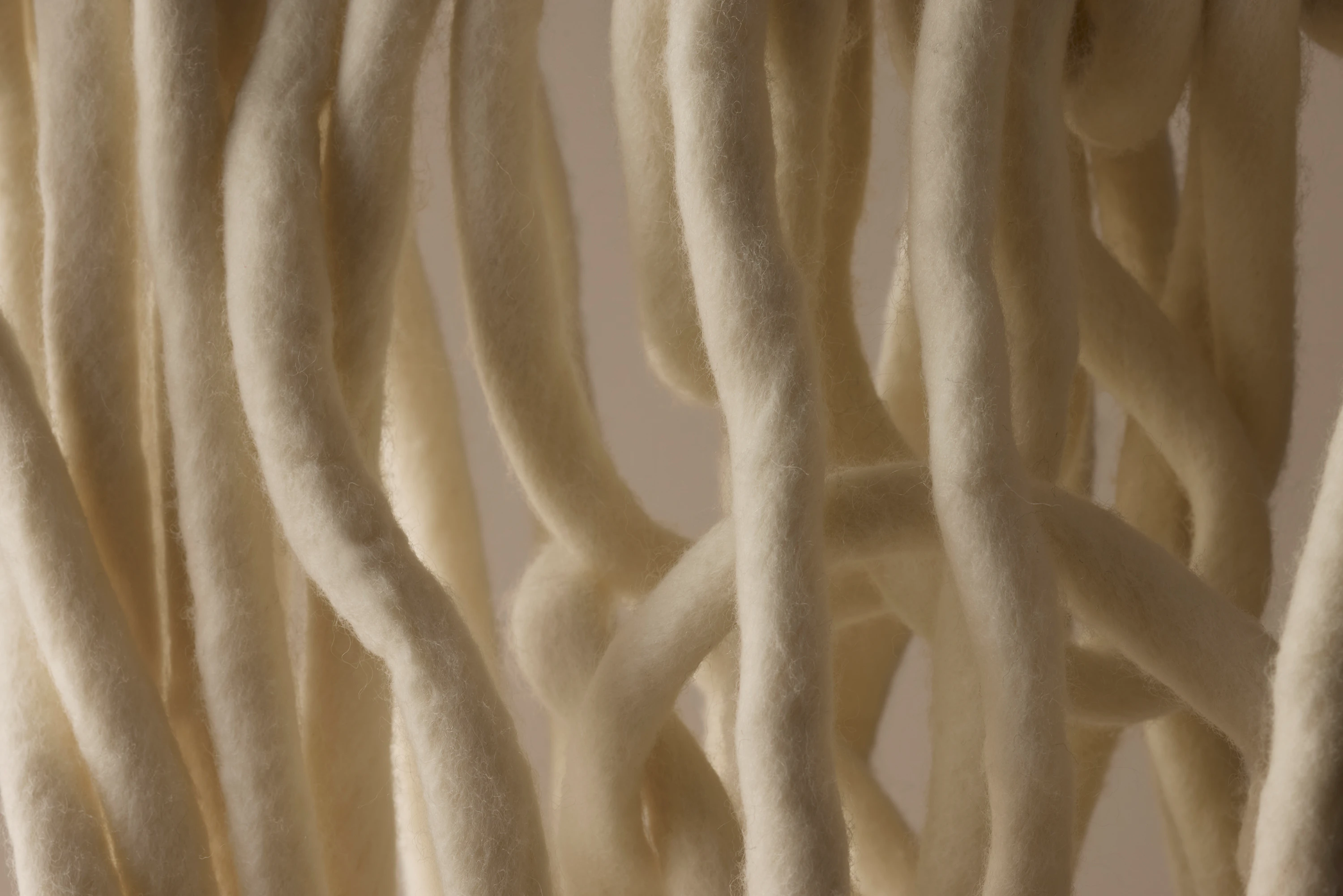 The Collective Force - Zenetra