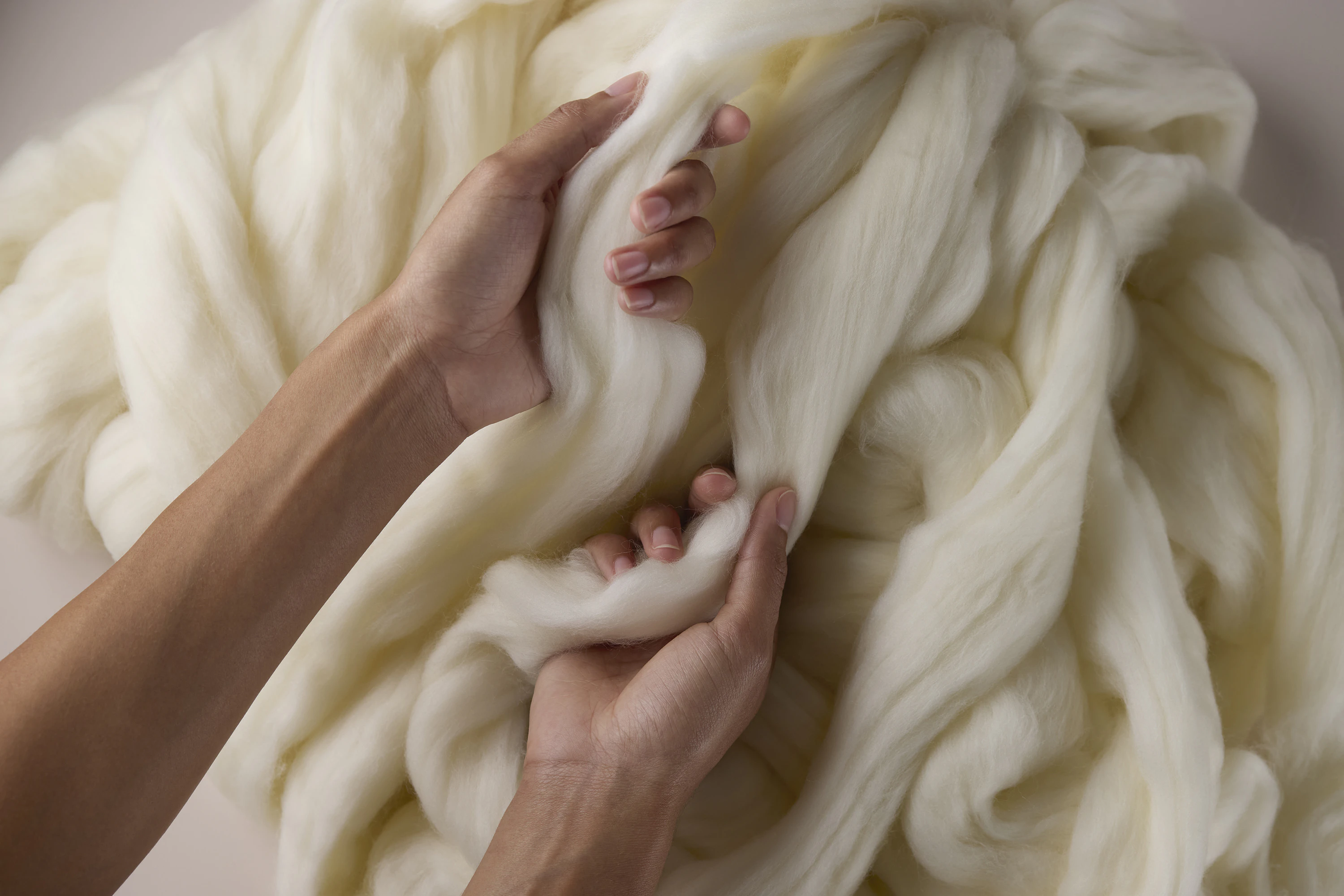 The Collective Force - Zenetra