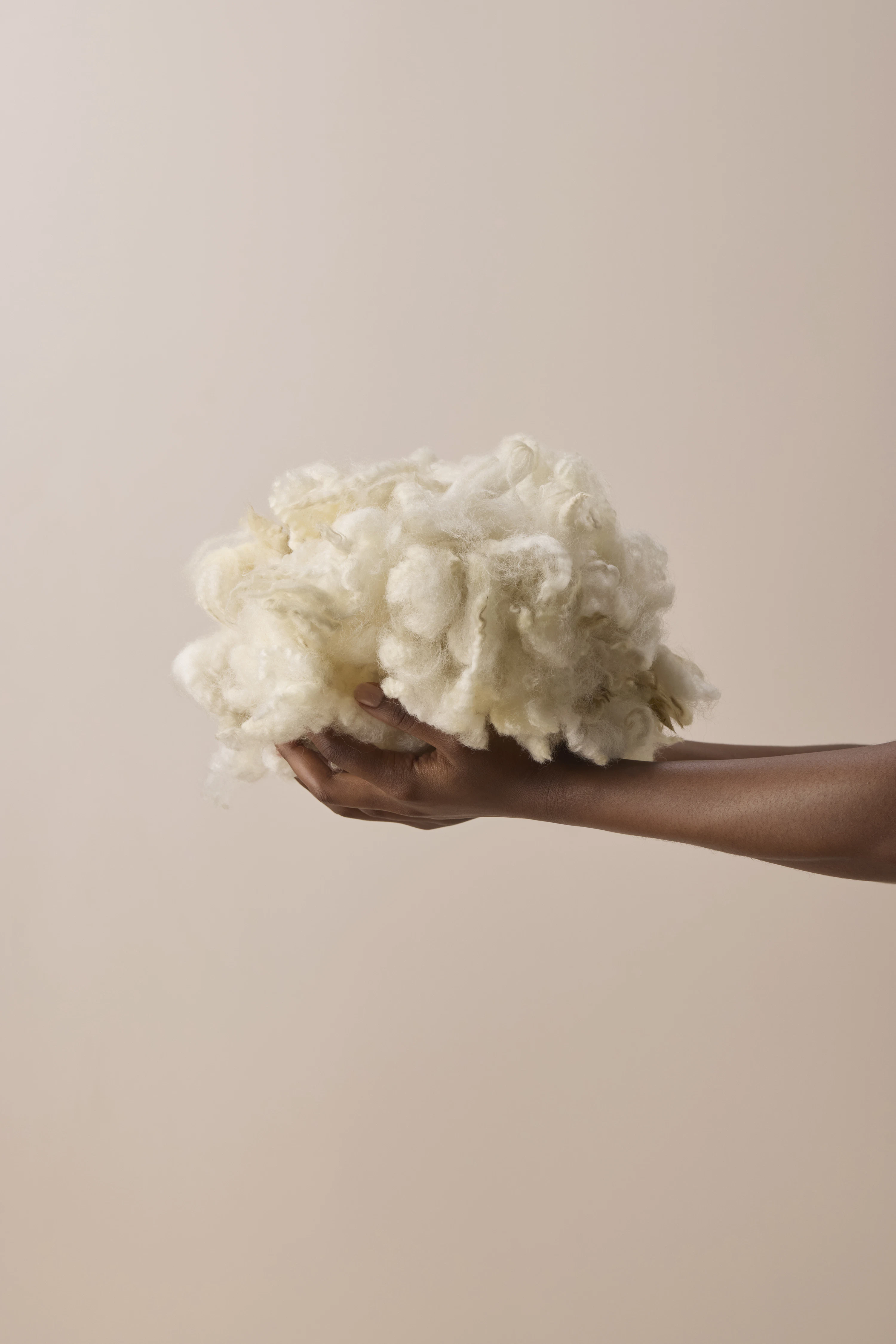 The Collective Force - Zenetra