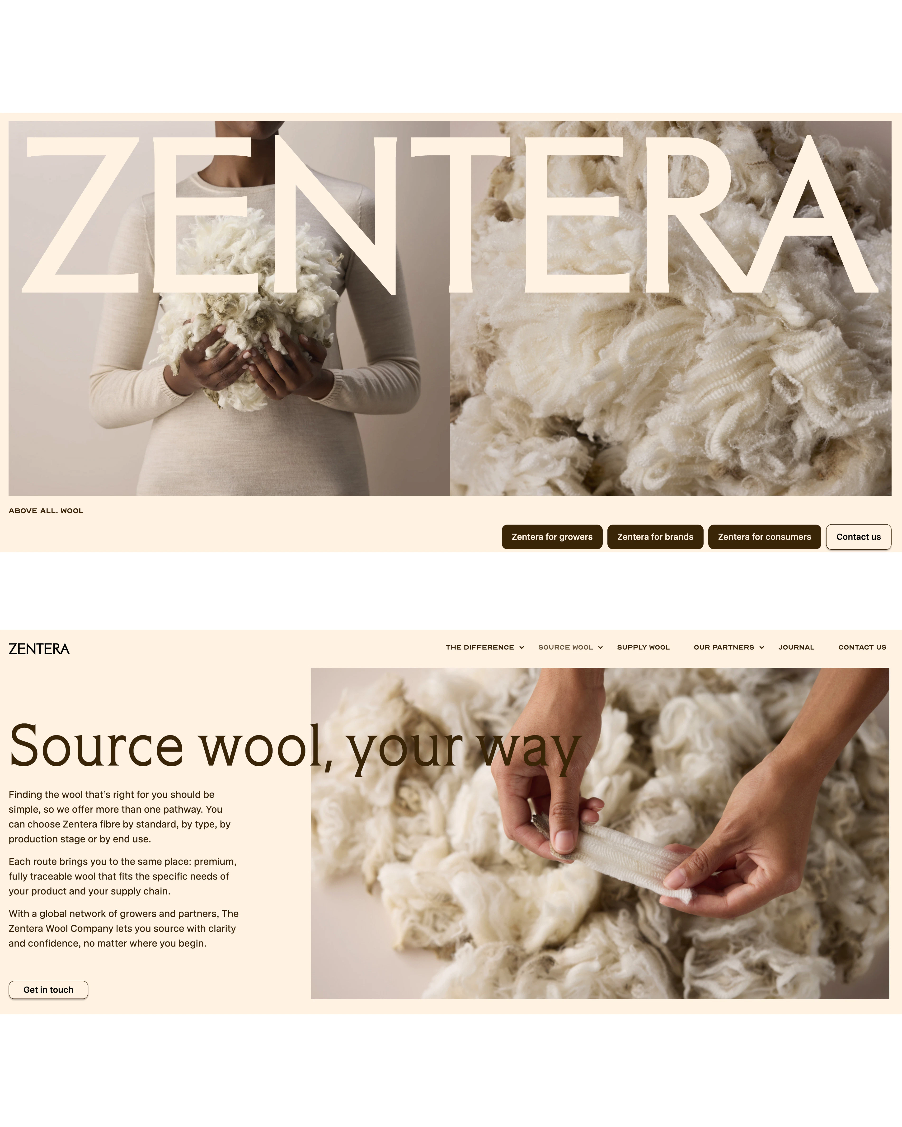 The Collective Force - Zenetra