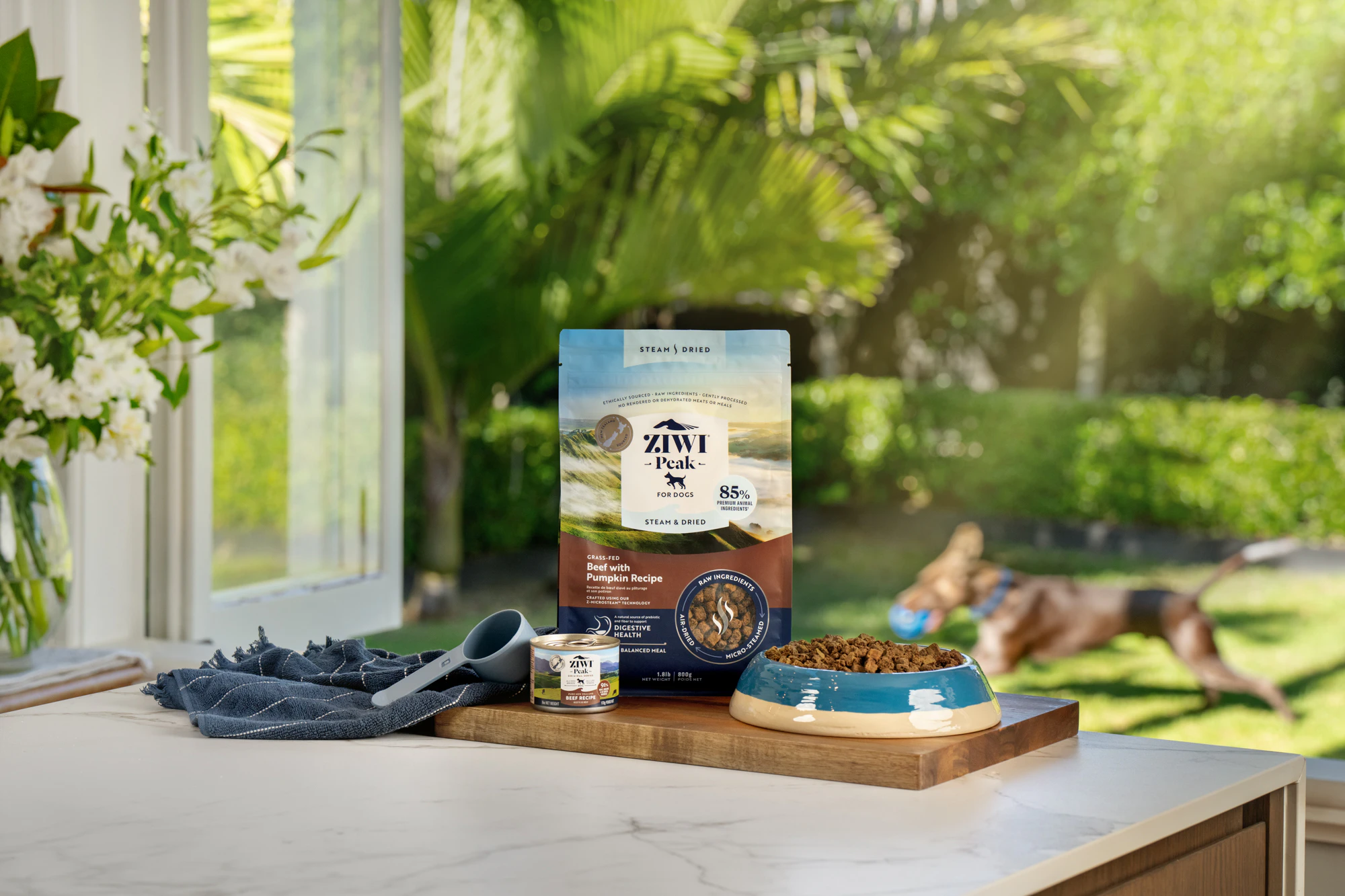 The Collective Force - ZIWI Peak