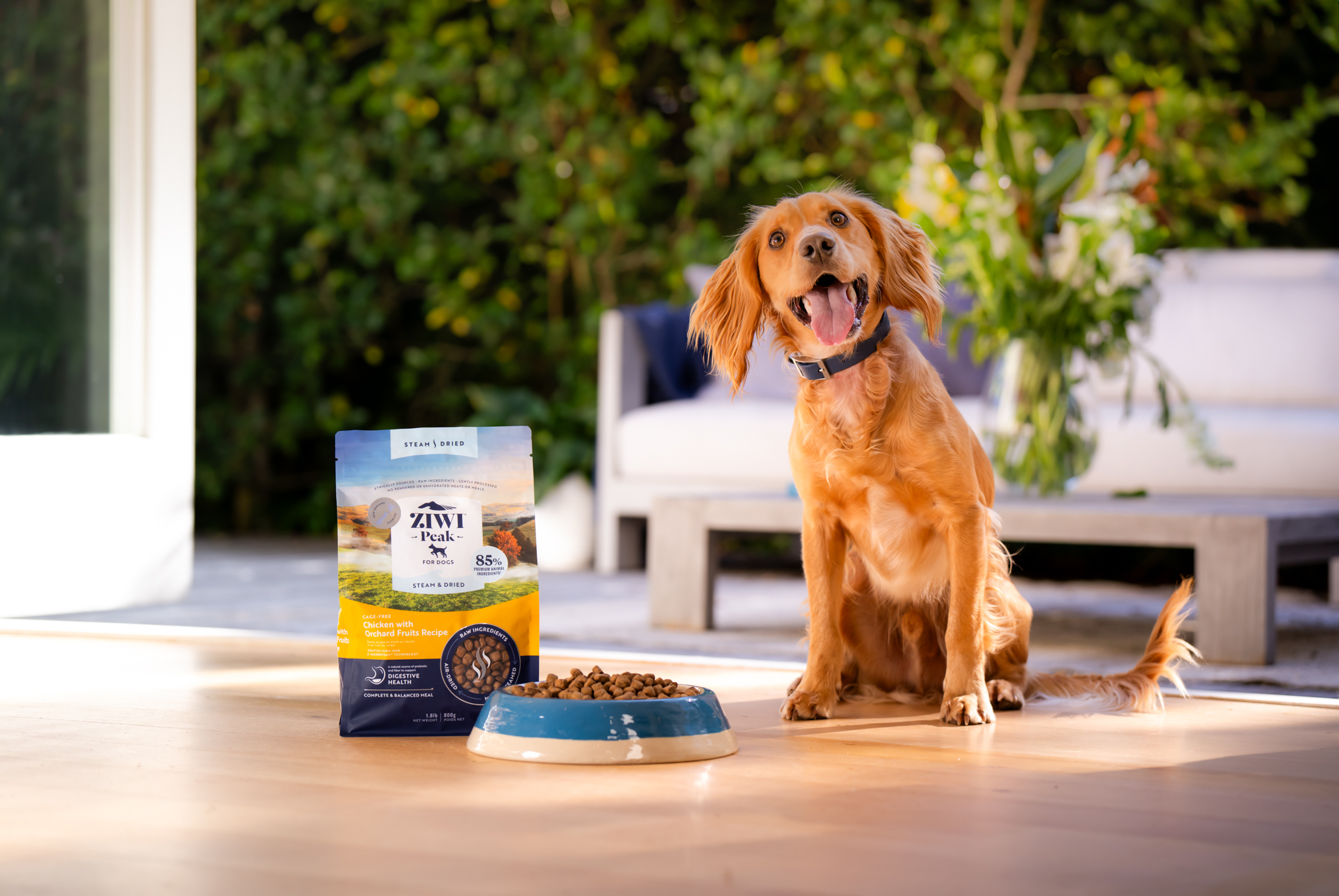 The Collective Force - ZIWI Peak