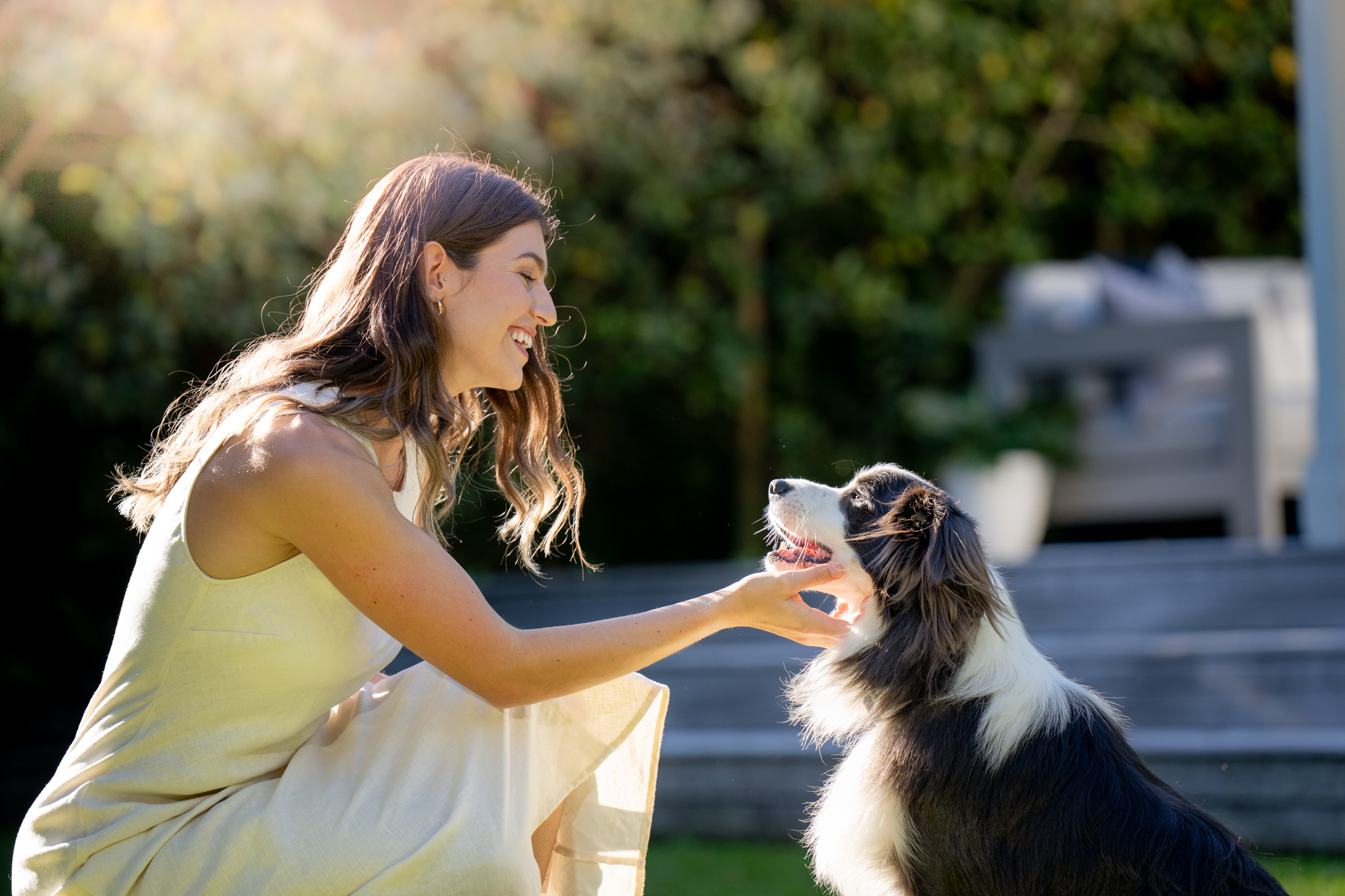 The Collective Force - DHC