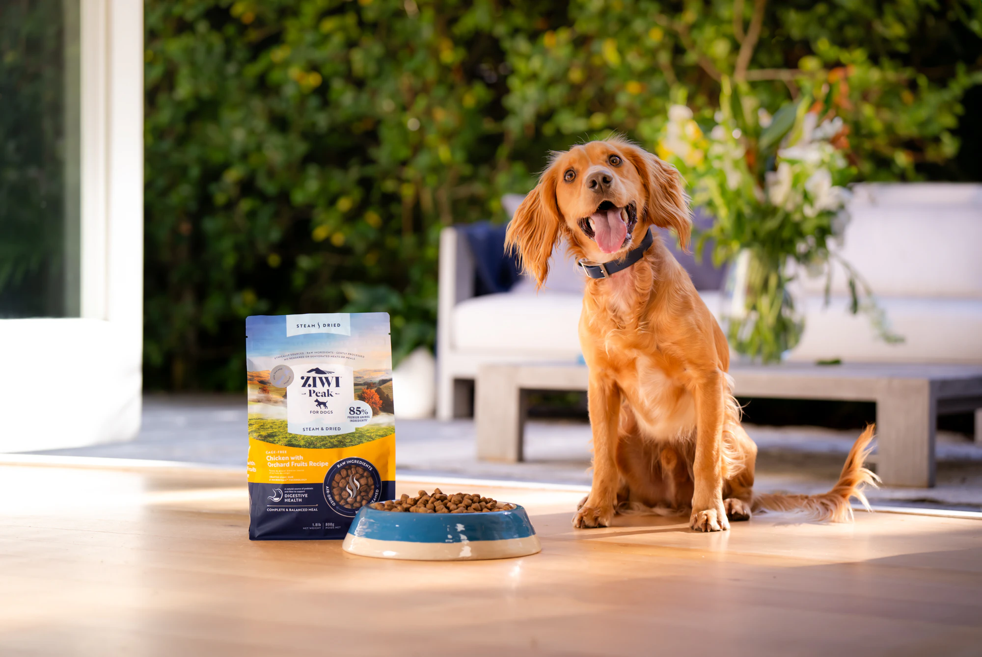 The Collective Force - ZIWI Peak