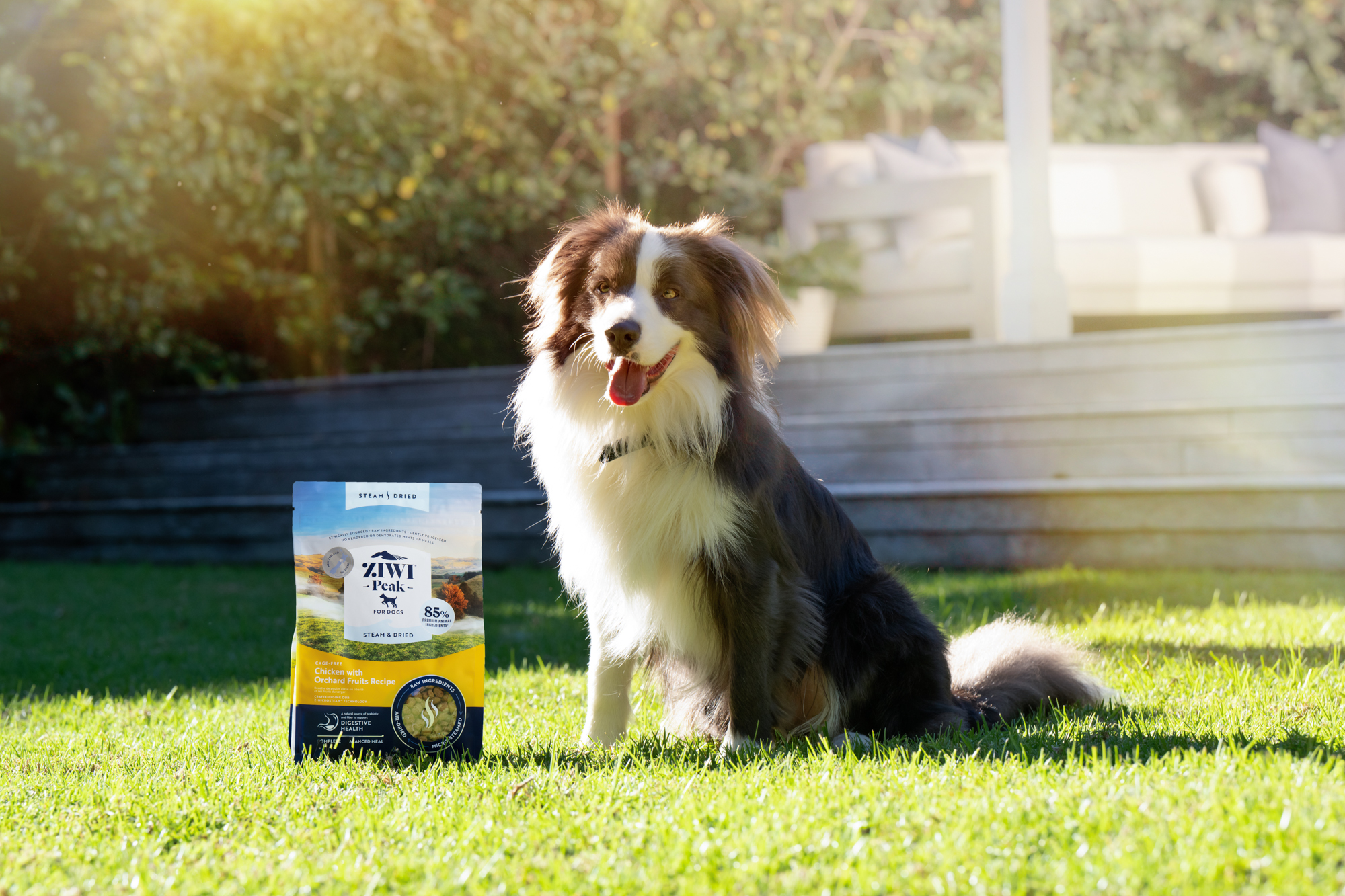 The Collective Force - ZIWI Peak