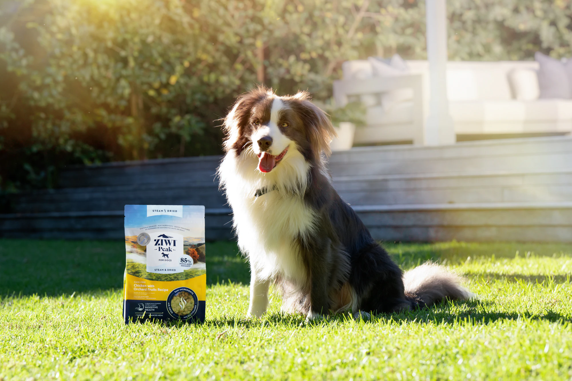 The Collective Force - ZIWI Peak