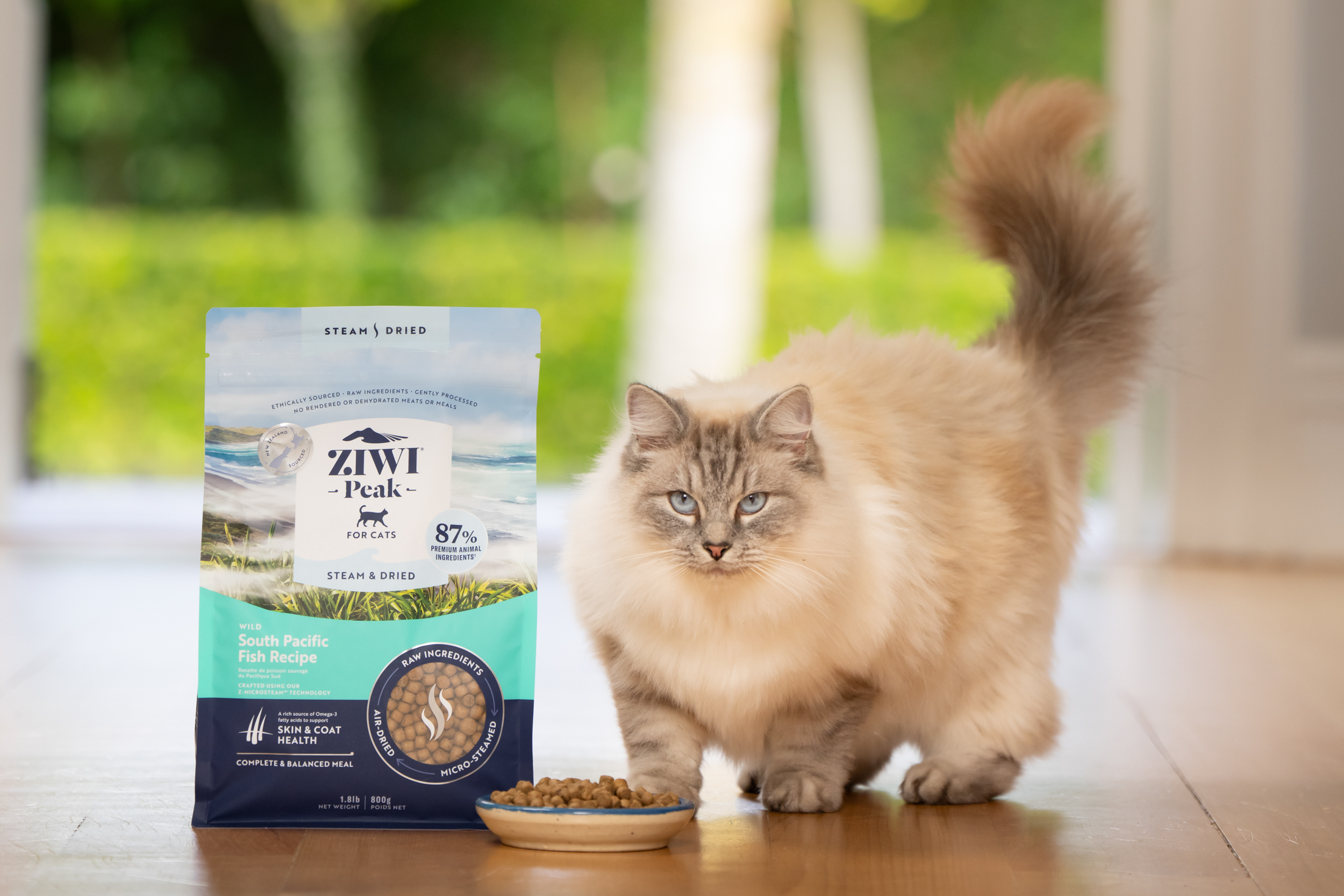 The Collective Force - Ziwi Pets