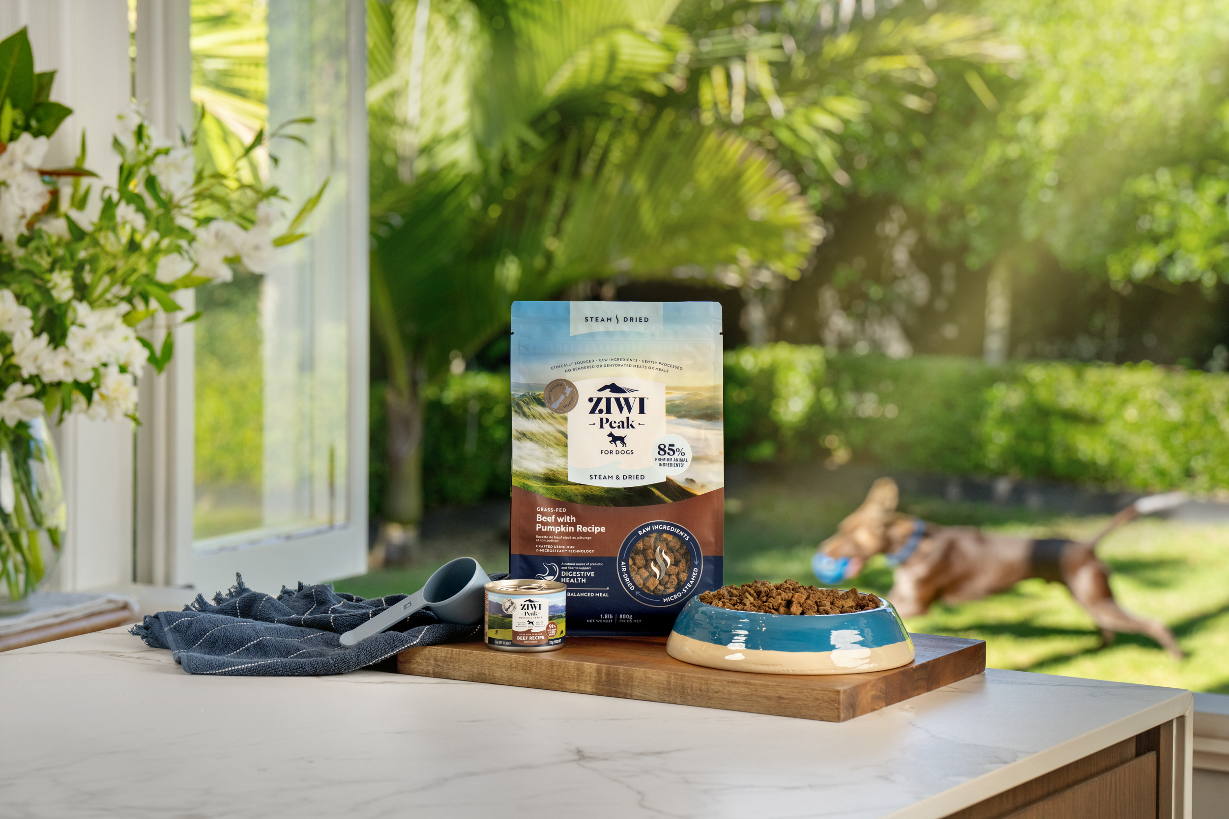 The Collective Force - Ziwi Pets