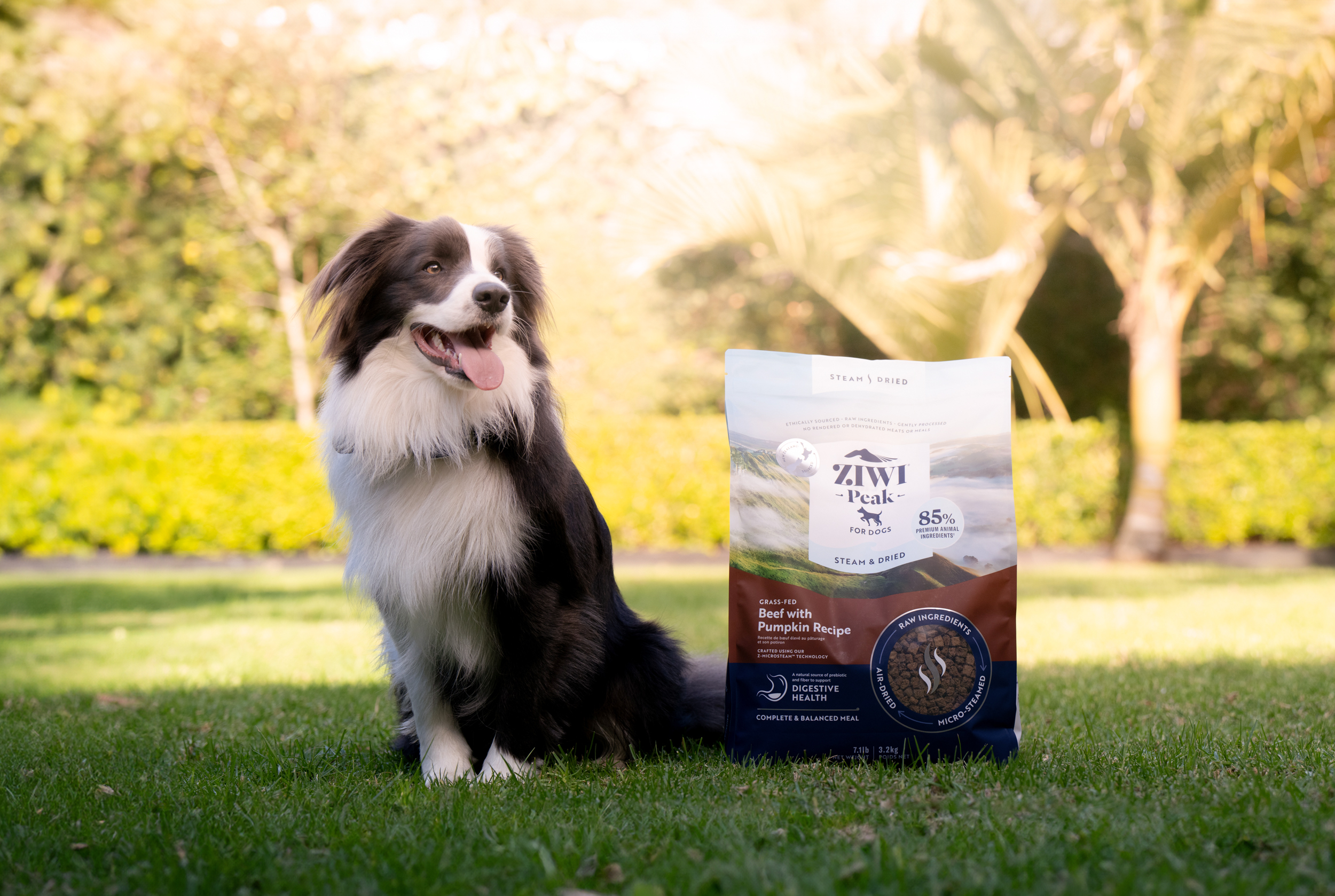 The Collective Force - Ziwi Pets